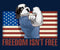 Freedom Is Not Free T-Shirt