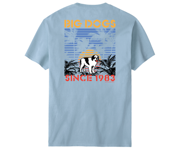 Sunset Stripe T-Shirt