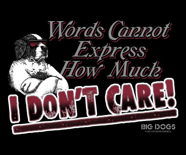 Words Can Not Express T-Shirt