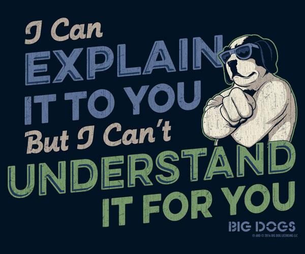 I Can Explain It To You T-Shirt