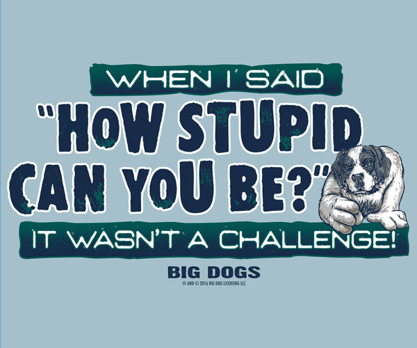 It Wasn't A Challenge T-Shirt