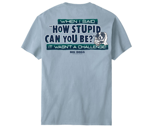 It Wasn't A Challenge T-Shirt