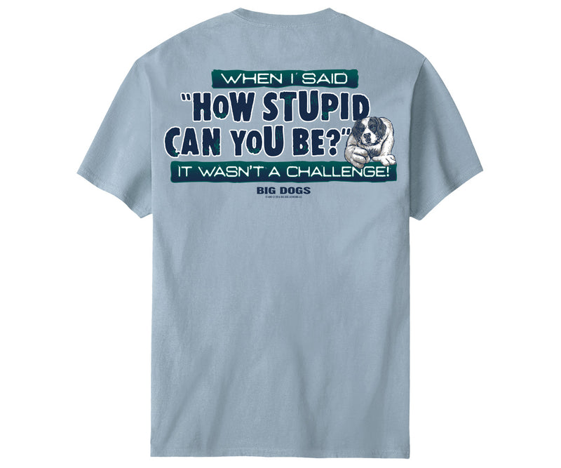 It Wasn't A Challenge T-Shirt