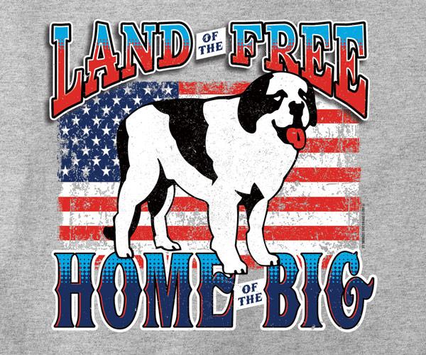 Land of the Big T-Shirt