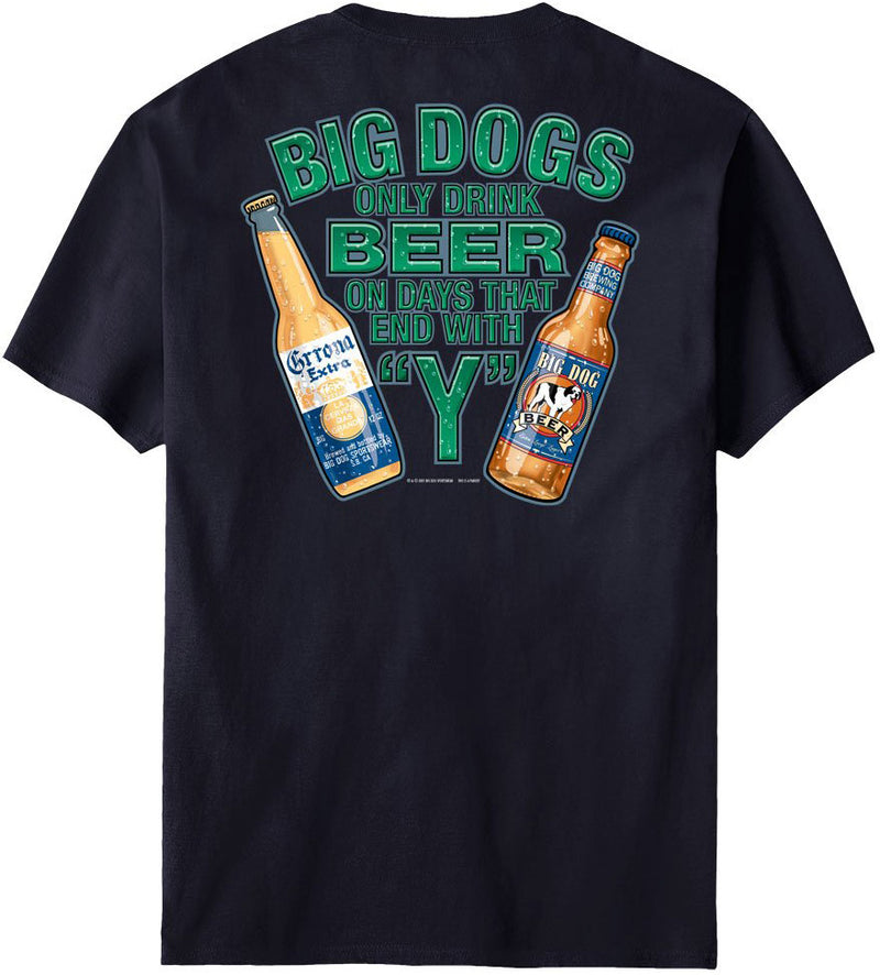 Only Drink Beer On Days That End In Y T-Shirt