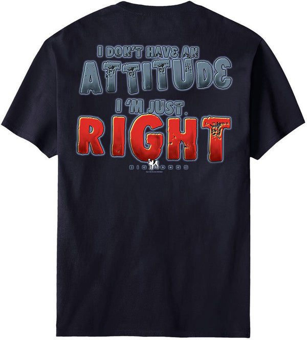 I Do Not Have An Attitude T-Shirt