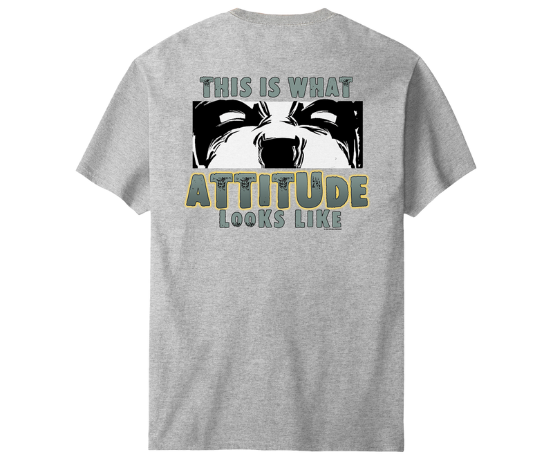 This Is What Attitude Looks Like T-Shirt