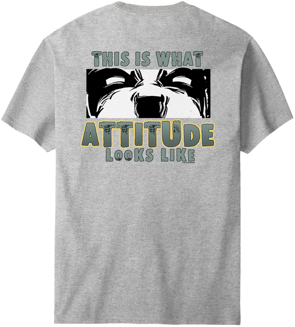 This Is What Attitude Looks Like T-Shirt