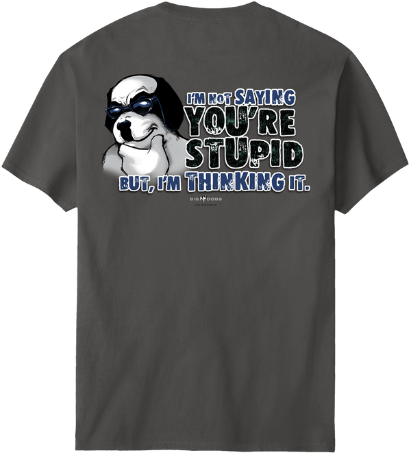 Not Saying You Are Stupid T-Shirt