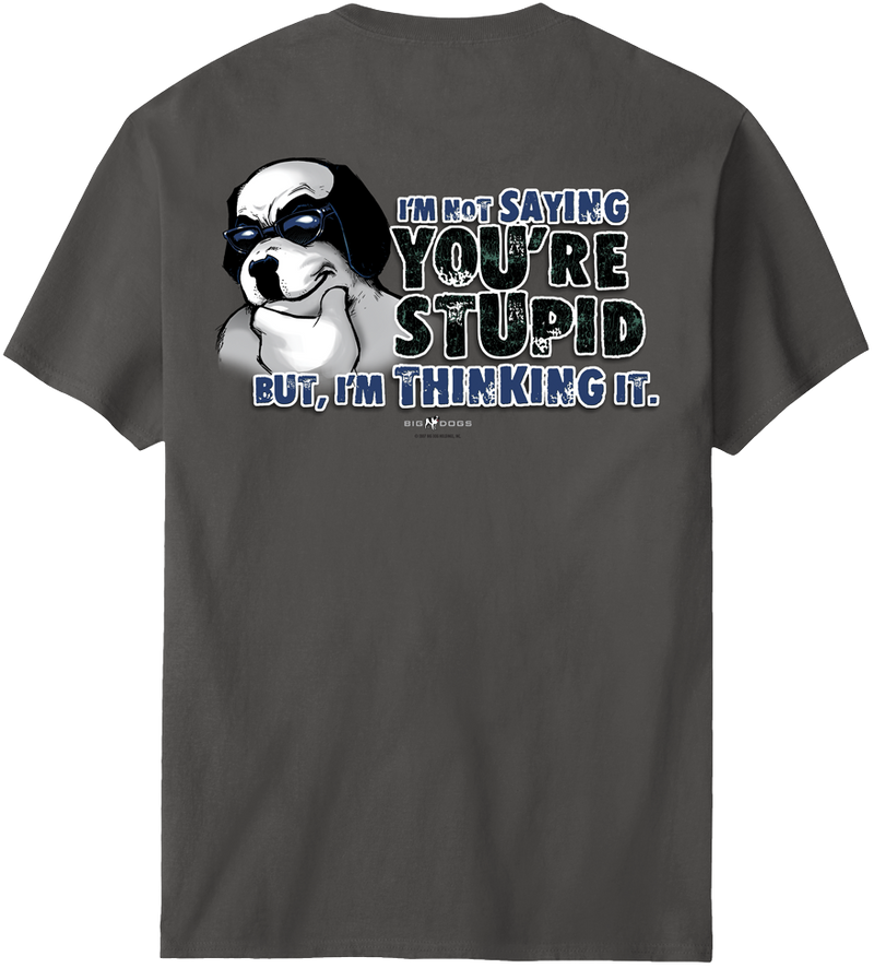 Not Saying You Are Stupid T-Shirt
