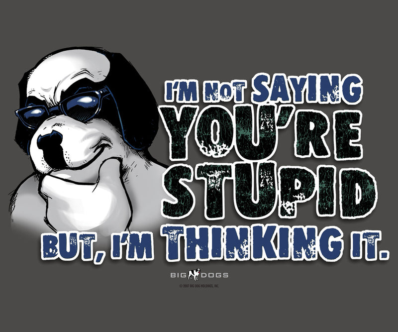 Not Saying You Are Stupid T-Shirt