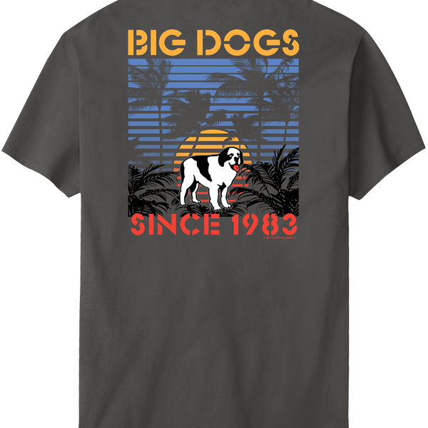 Sunset Stripe T-Shirt – Big Dogs