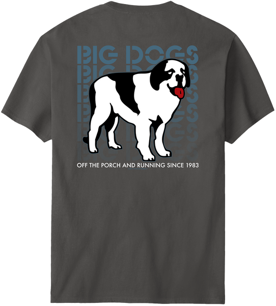 Logo Fade T-Shirt – Big Dogs