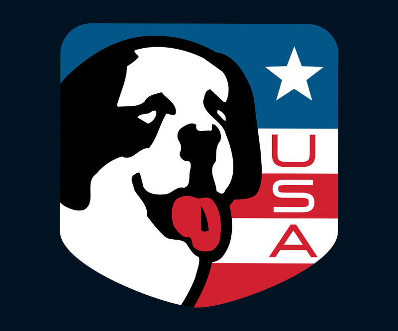 Big Dog USA Shield T-shirt