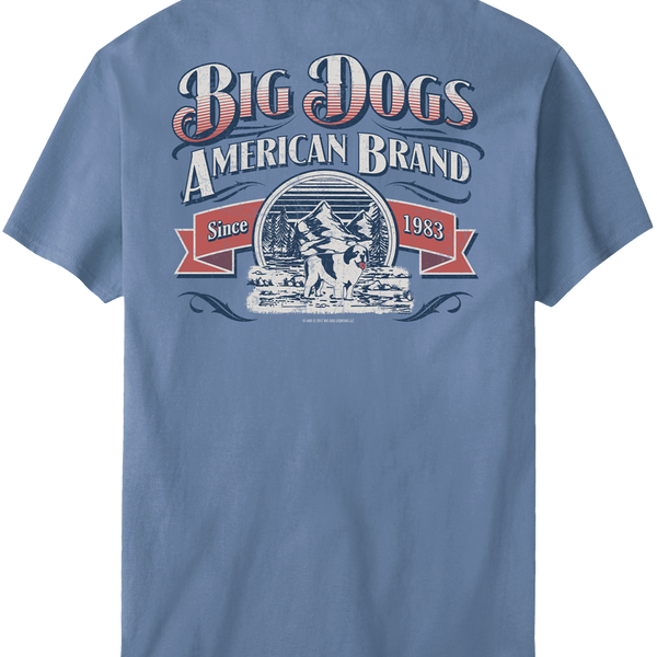 Bd American Brand T-Shirt – Big Dogs