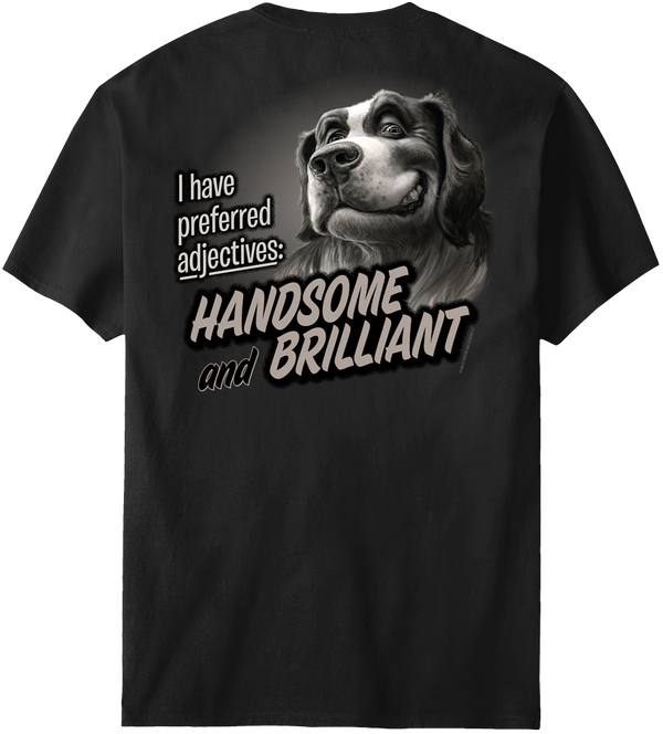 Handsome And Brilliant T-Shirt