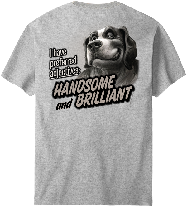 Handsome And Brilliant T-Shirt