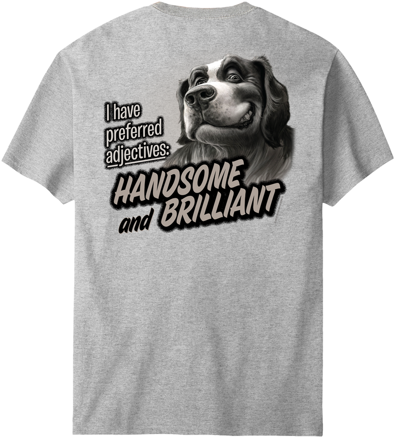 Handsome And Brilliant T-Shirt