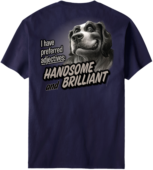 Handsome And Brilliant T-Shirt