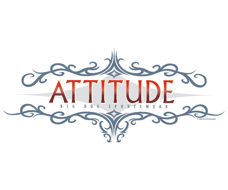 Attitude Scroll Graphic Hoodie