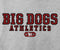 Big Dog Athletics