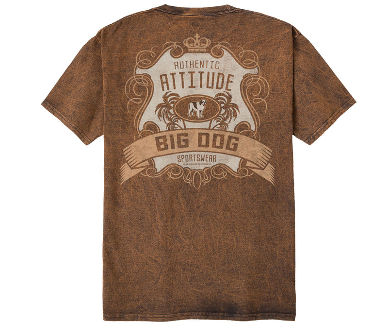 Authentic Attitude Vintage Washed Tee