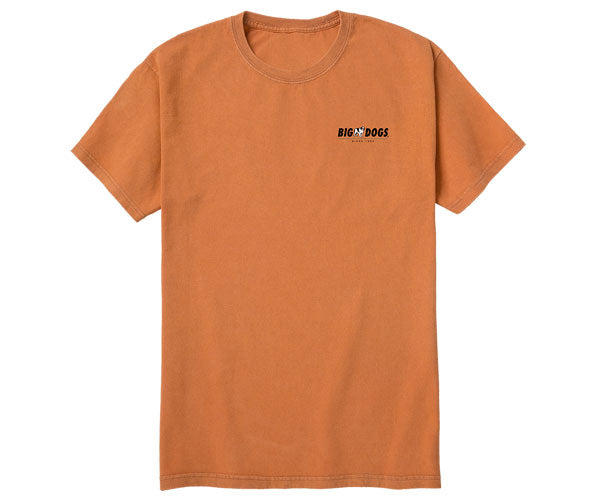 Run With Shield Vintage Washed Tee