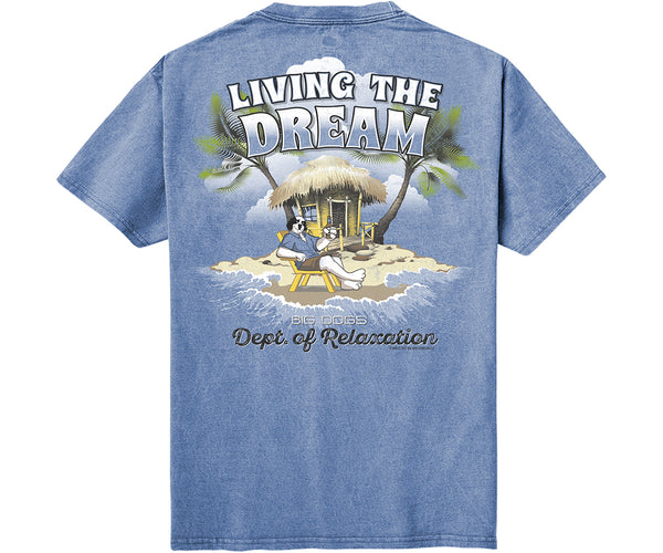 Living The Dream Vintage Washed Tee