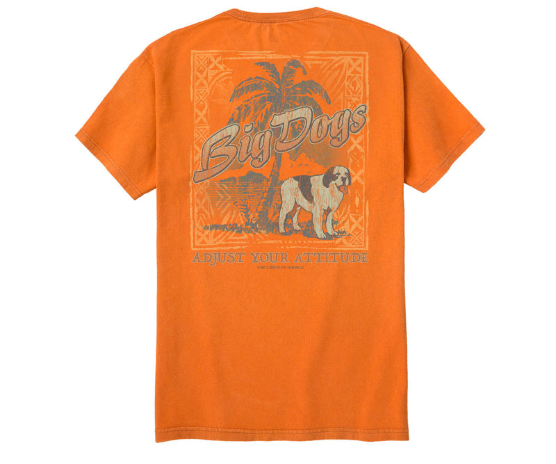 Adjusted Your Attitude Vintage Wash Tee
