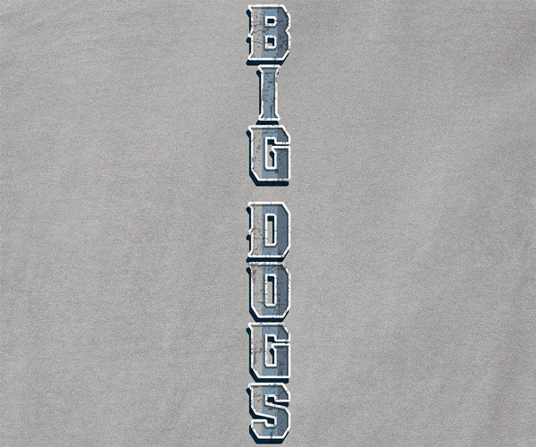 Bad Dog Attitude Pigment Washed Long Sleeve