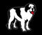 Big Dog Logo Graphic Crew