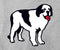 Logo Dog Graphic Crew