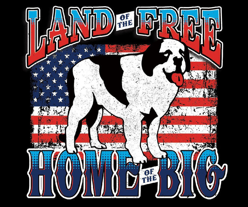 Land of the Big Graphic Hoodie