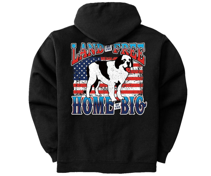 Land of the Big Graphic Hoodie