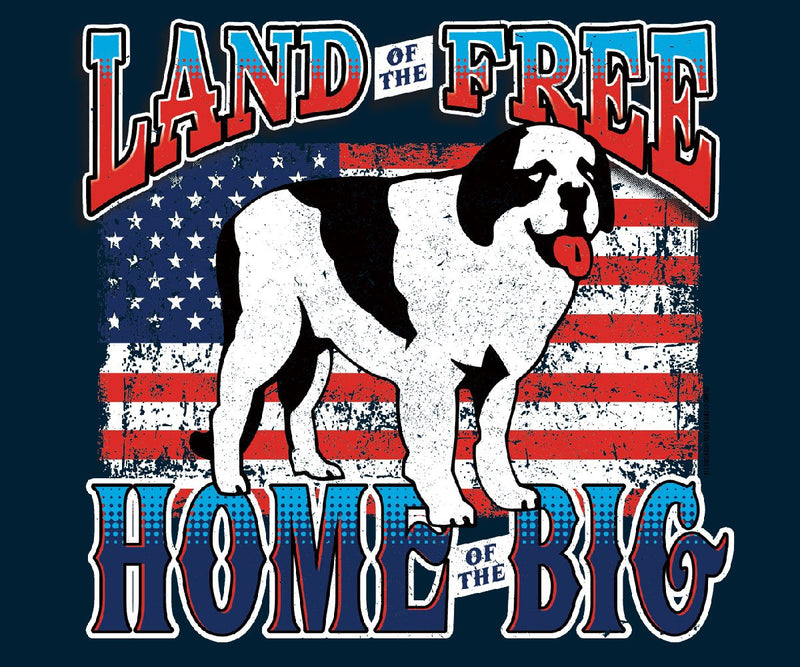 Land of the Big Graphic Hoodie