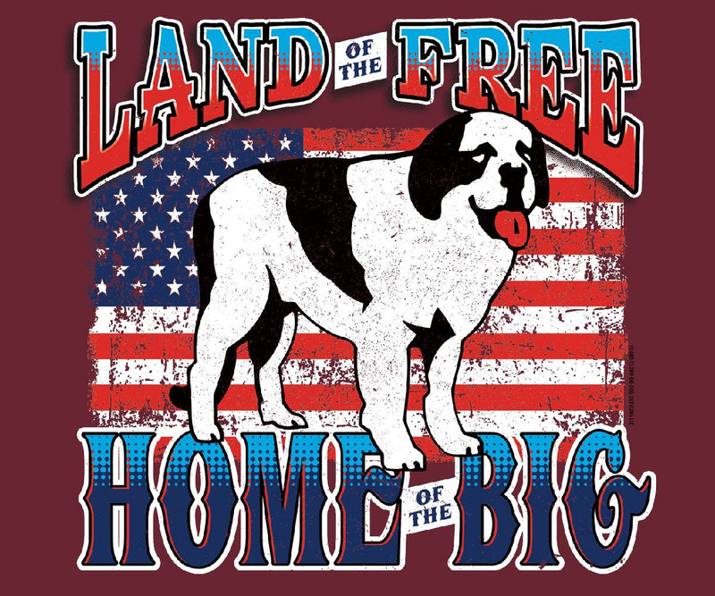 Land of the Big Graphic Hoodie
