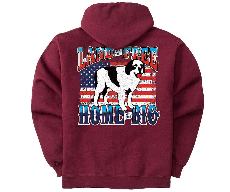Land of the Big Graphic Hoodie