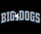 Big Dogs Attitude Gold Medal Hoodie
