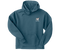 Big Dog Logo Graphic Hoodie