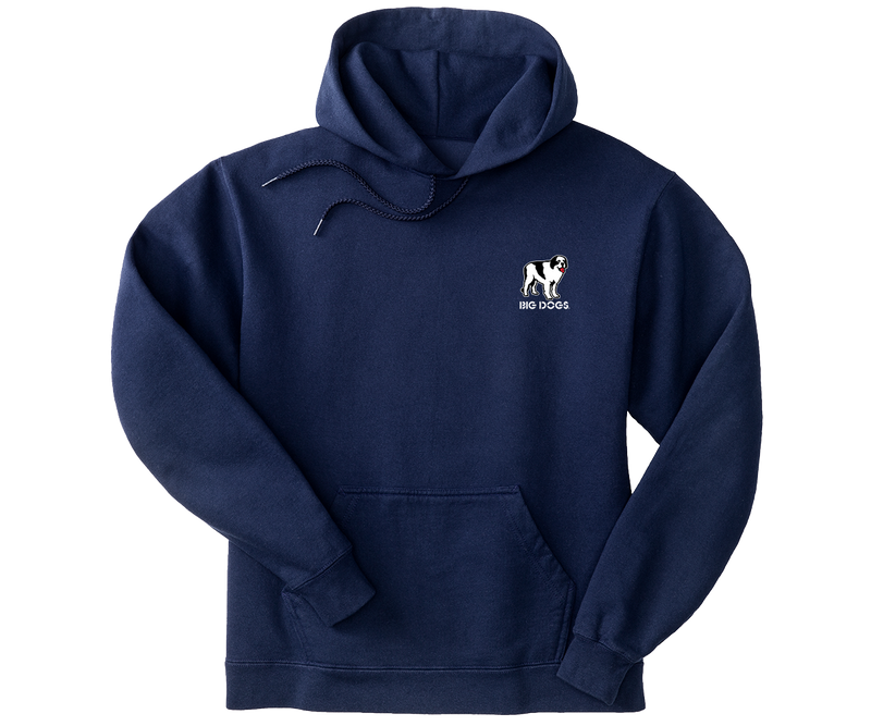 Attitude Shield Graphic Hoodie