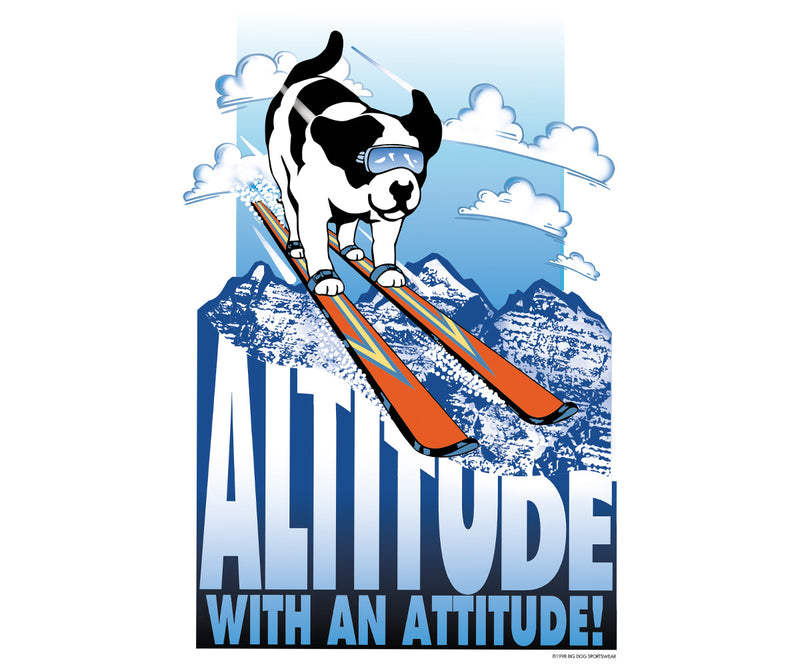 Altitude with an Attitude Graphic Hoodie