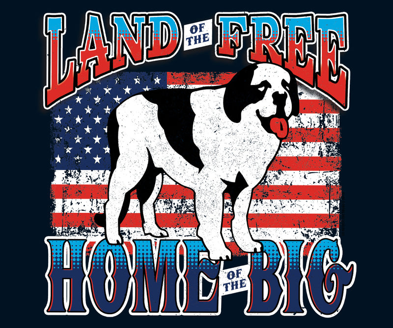 Land of the Big Graphic Hoodie