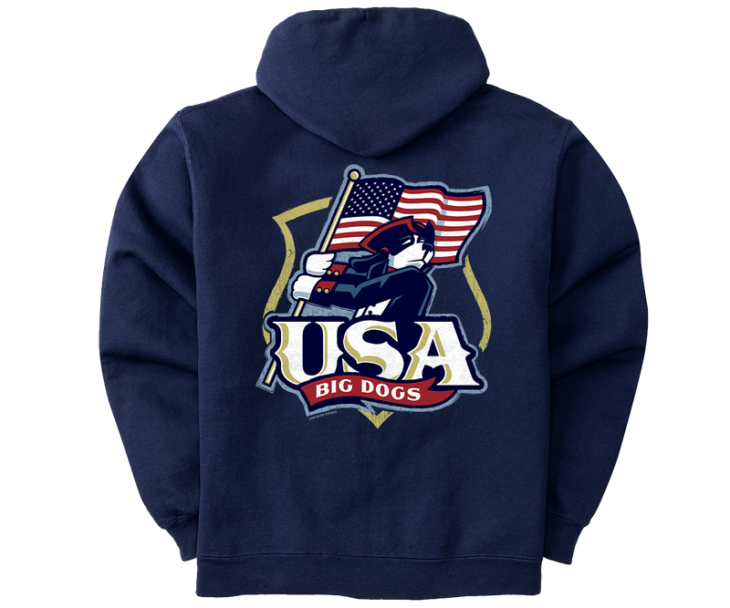 USA Graphic Hoodie