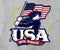USA Full Zip Graphic Hoodie