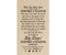 Canyon Cargo Walkshort