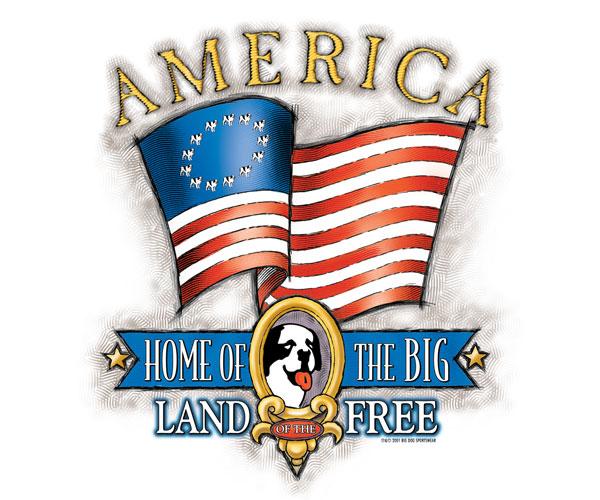 Home Of The Big T-Shirt - Kids