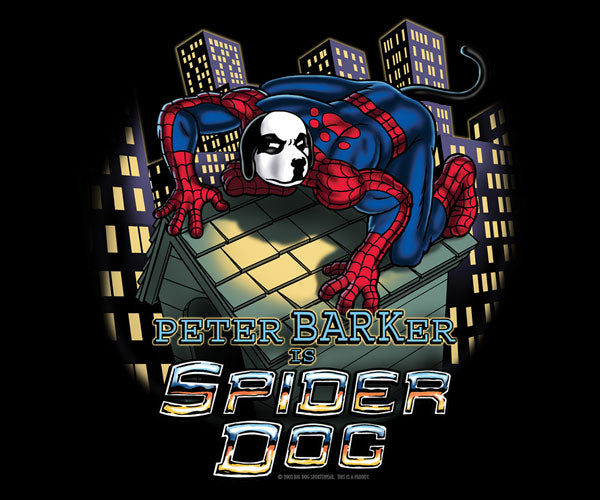 Spiderdog House Kids & Youth T-Shirt