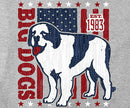 BD Patriotic T-Shirt