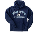 Big Dogs Sportswear Kids Graphic Hoodie