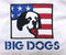Patriotic Apron